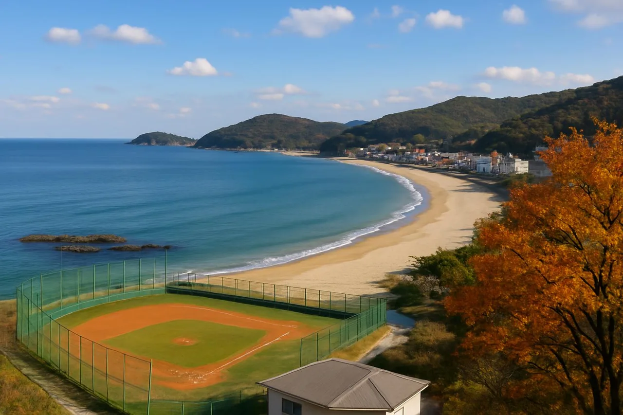 야구체험관에서 보이는 해안 풍경